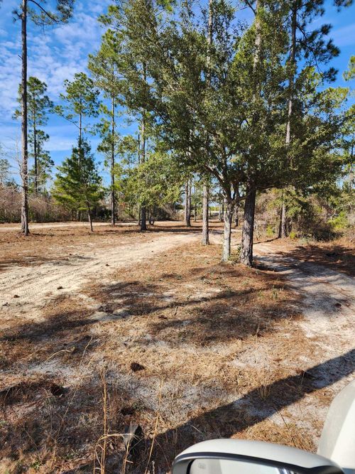 xxx Nw State Road 20, BRISTOL, FL, 32321 | Card Image
