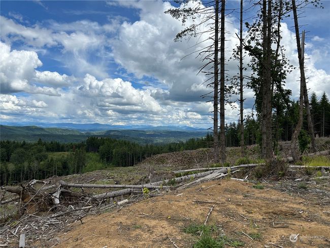 0 NKA 713 Road, Home with 0 bedrooms, 0 bathrooms and null parking in Castle Rock WA | Image 9