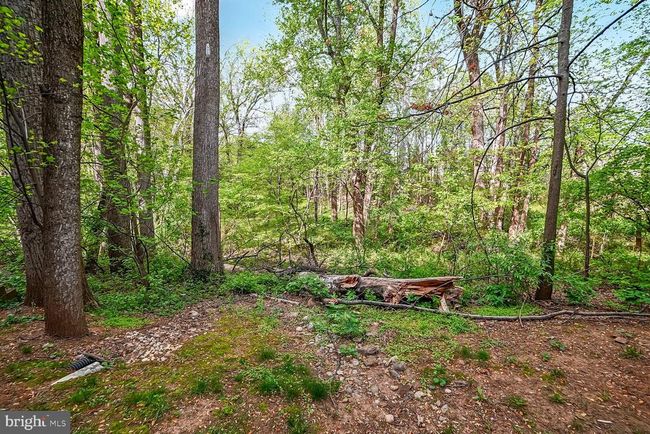 5K - 15311 Diamond Cove Ter, Condo with 2 bedrooms, 2 bathrooms and null parking in ROCKVILLE MD | Image 33