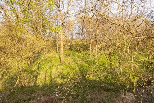 View of landscape | Image 90