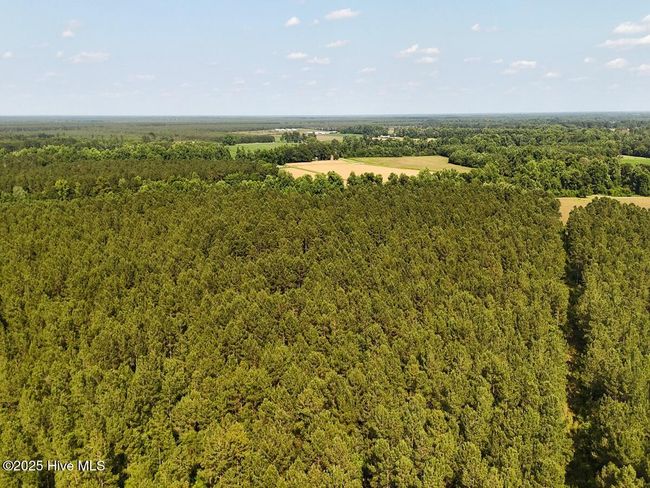 1 Barbee Rd, Home with 0 bedrooms, 0 bathrooms and null parking in Richlands NC | Image 22