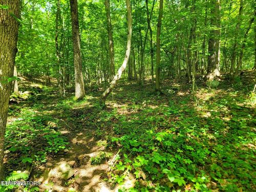 161 Sugarbush Circle, Crossville, TN, 38558 | Card Image