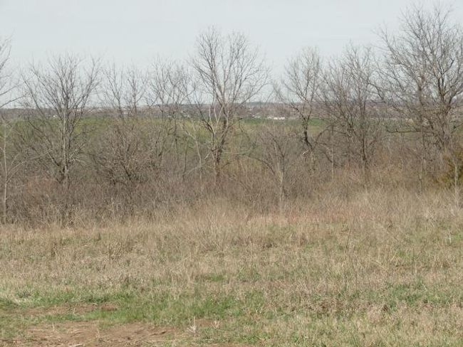 10.45 Acres Ringhand Rd, Home with 0 bedrooms, 0 bathrooms and null parking in SYLVESTER WI | Image 47