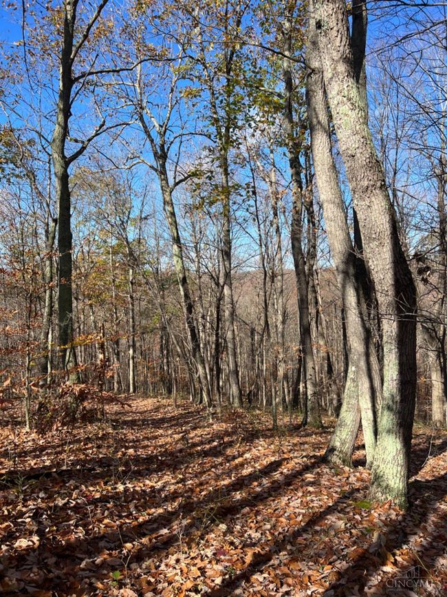 1459 Kizzie Run Rd, House other with 3 bedrooms, 3 bathrooms and null parking in Rarden OH | Image 83