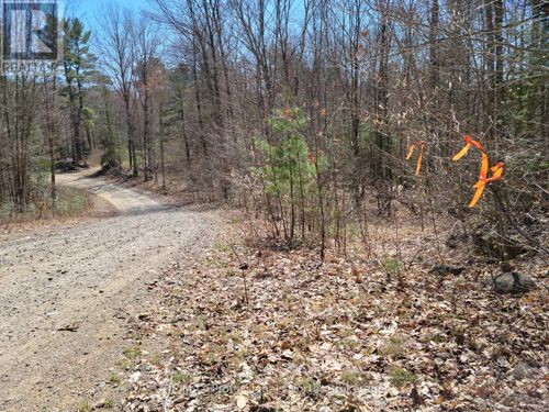 LOT 32 Concession 11, Huntsville (Brunel), ON, P1H2J6 | Card Image