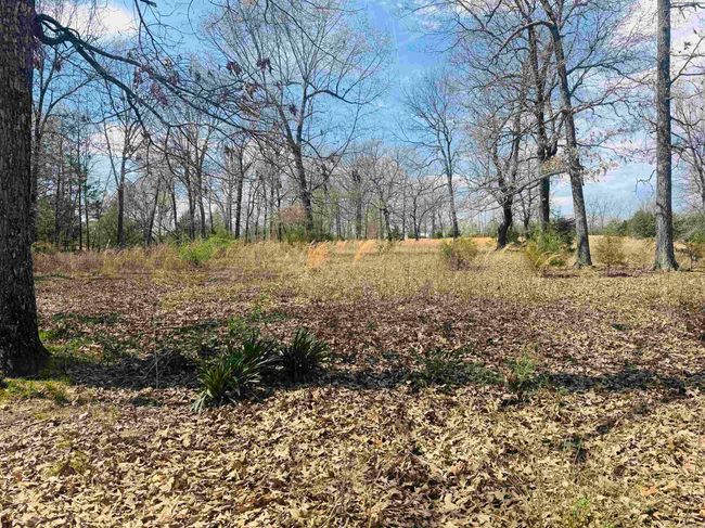 3912 Ar 354 Hwy, House other with 3 bedrooms, 2 bathrooms and null parking in Oxford AR | Image 14