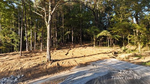 8 Tyro Branch Cove, Senatobia, MS, 38668 | Card Image