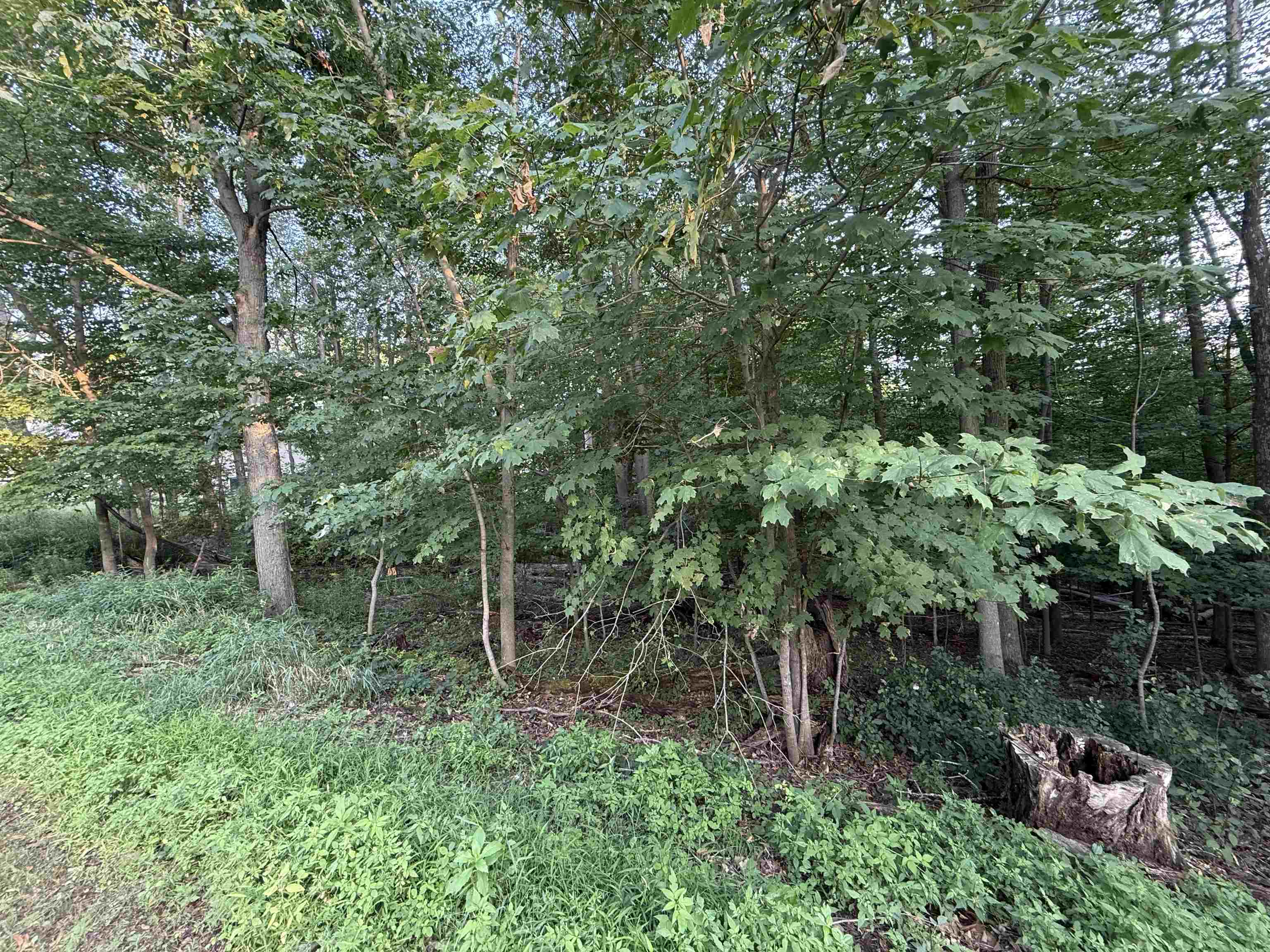 Land in Wausau 4