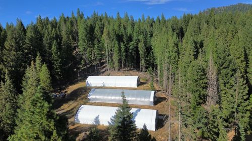 166 Hall City Creek Rd, Wildwood, CA, 96076-9525 | Card Image