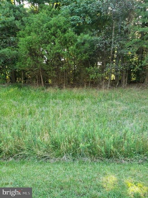 Lot 8 Lake, LEXINGTON PARK, MD, 20653 | Card Image