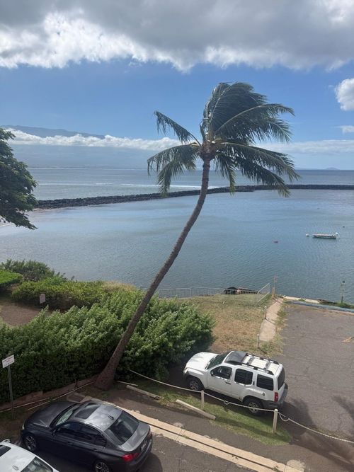 312-20 Hauoli St, Wailuku, HI, 96793-9505 | Card Image