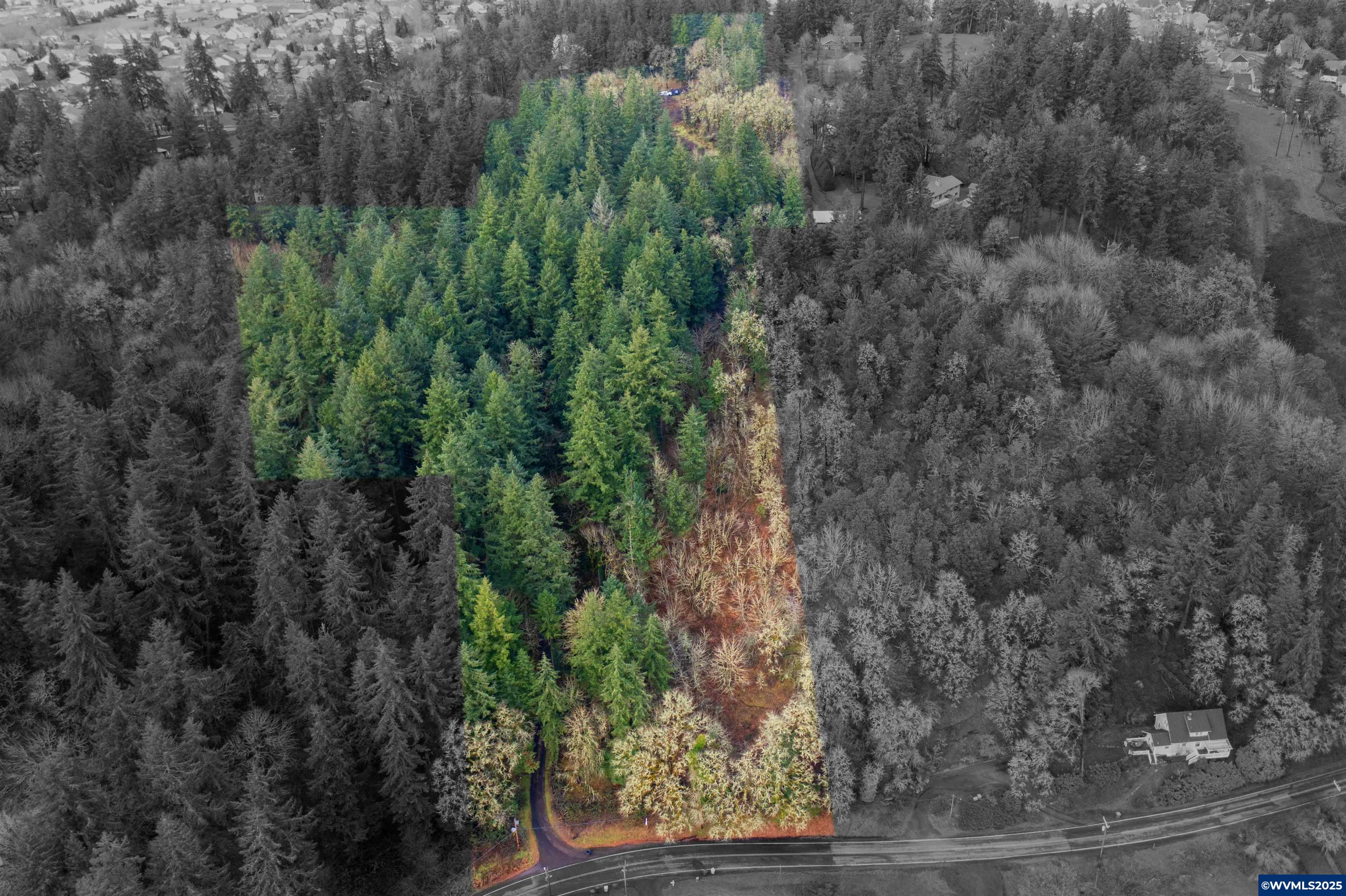 Land in Albany 2