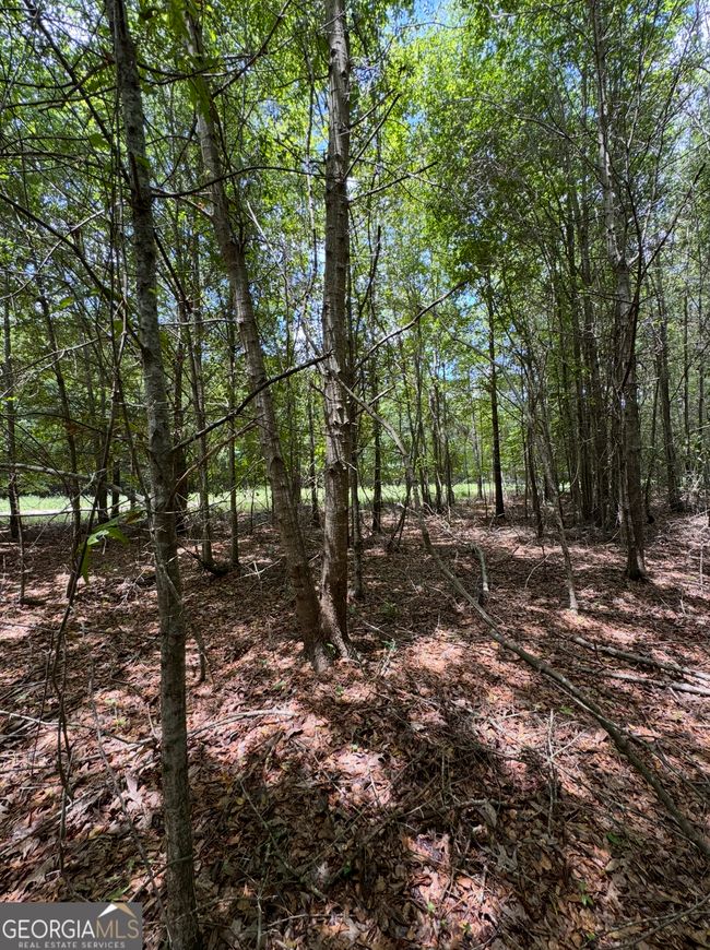 0 Tobias Rd, Home with 0 bedrooms, 0 bathrooms and null parking in Sardis GA | Image 6