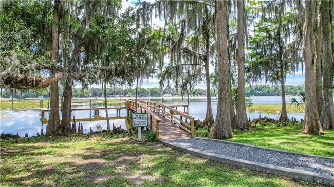 720 Balmoral Ct, House other with 3 bedrooms, 2 bathrooms and 2 parking in INVERNESS FL | Image 71