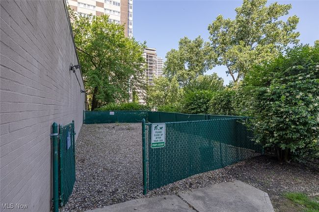 Dog park | Image 30