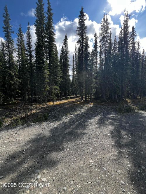 1H Alaska Hwy, Tok, AK, 99780 | Card Image