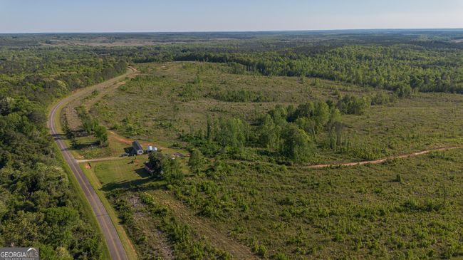 949 Marion Ripley Rd, Home with 0 bedrooms, 0 bathrooms and null parking in Dry Branch GA | Image 4