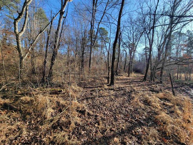 1250 Ashby Rd, Home with 0 bedrooms, 0 bathrooms and null parking in Centertown KY | Image 21