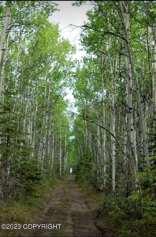 0000 Road E, Clear, AK, 99704 | Card Image