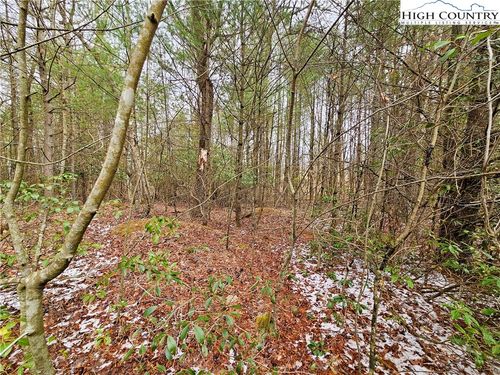 TBD W Mill Creek Rd, Warrensville, NC, 28643 | Card Image