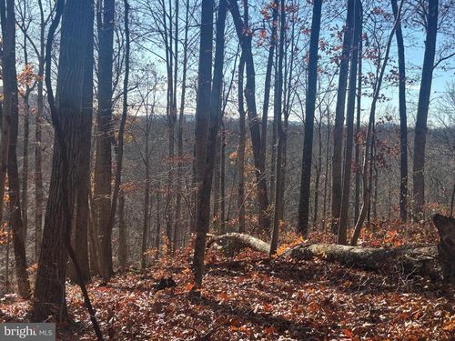 38196 Lime Kiln Rd, MIDDLEBURG, VA, 20117-3120 | Card Image