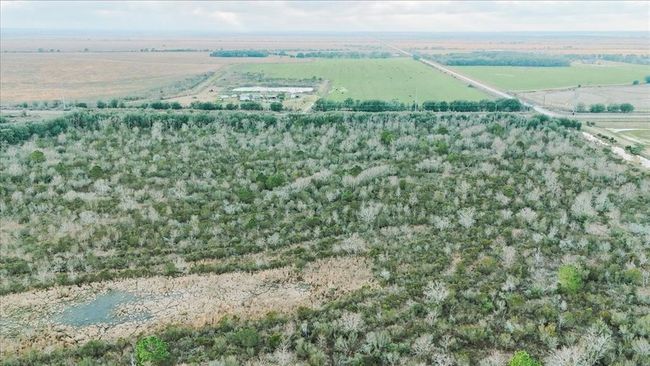 Back of property looking towards Hwy 124 | Image 12