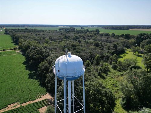 00 Wiggins Rd, Frisco City, AL, 36445 | Card Image