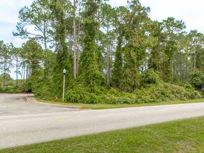 100 Green Heron Cir, Home with 0 bedrooms, 0 bathrooms and null parking in Carrabelle FL | Image 3