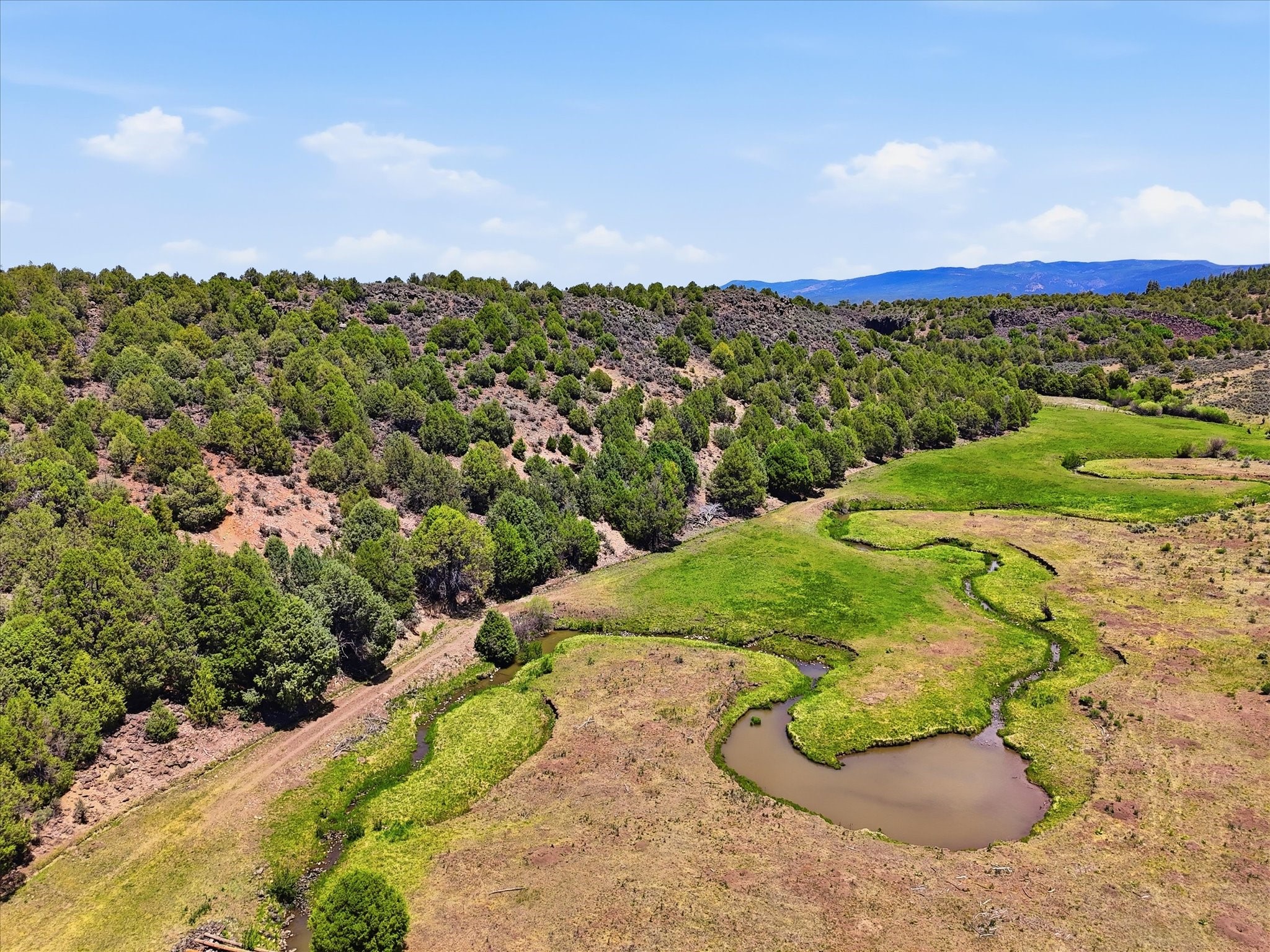 Farm in Tierra Amarilla 5