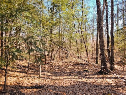 72-61 Canterbury Shore Drive, Canterbury, NH, 03224 | Card Image