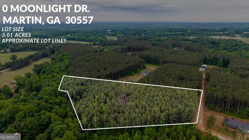 0 Moonlight Dr, Martin, GA, 30557 | Card Image
