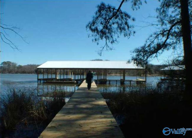 425 John Cabaniss Rd, Home with 0 bedrooms, 0 bathrooms and null parking in Langston AL | Image 6