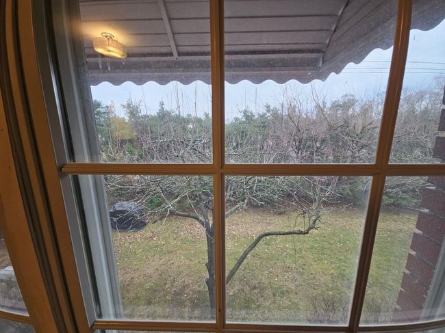 View From Primary Bedroom | Image 20
