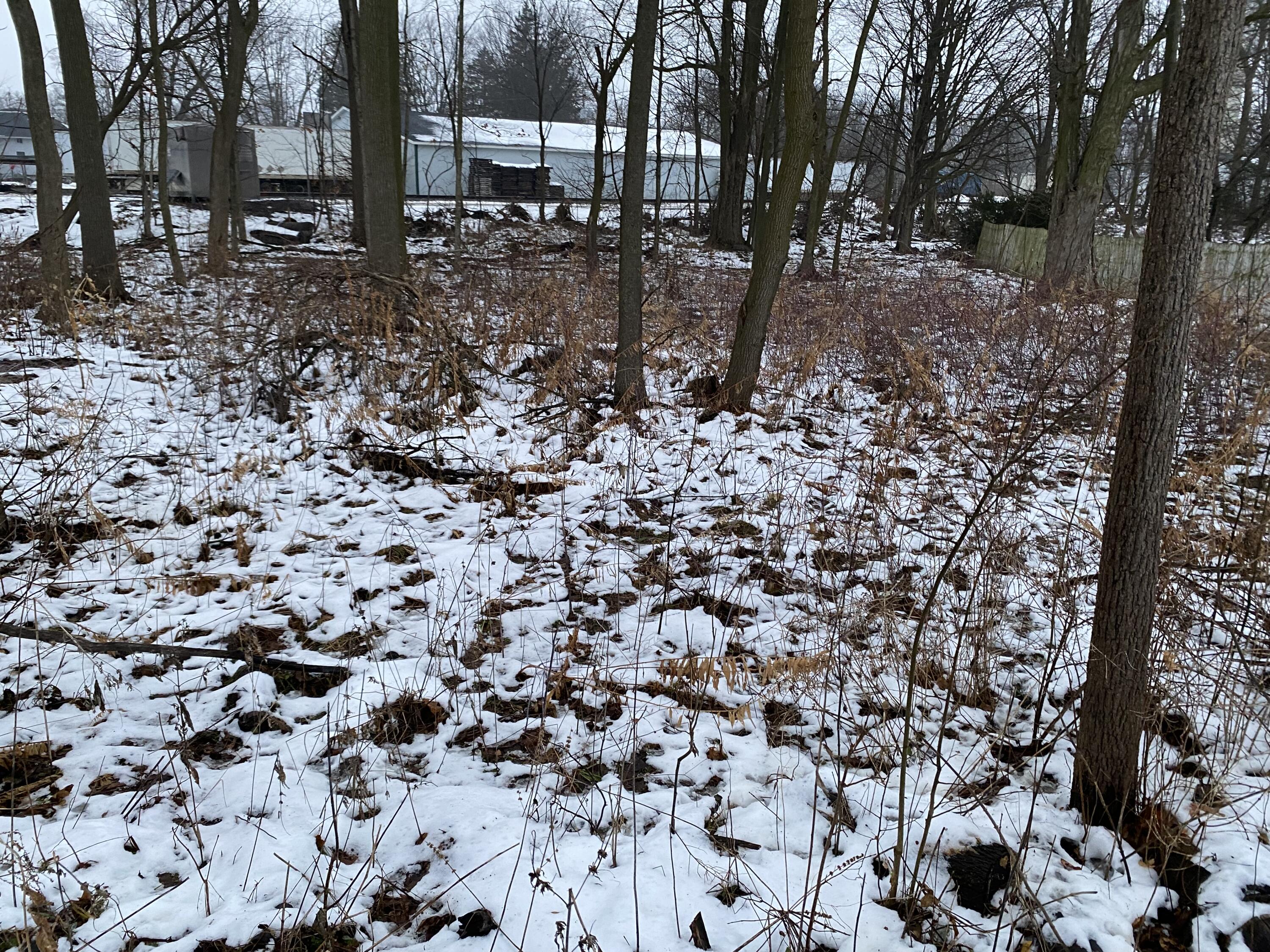 Land in Marcellus 3