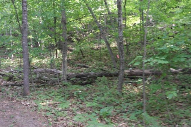Arkansaw Riverfront 040.JPG | Image 38