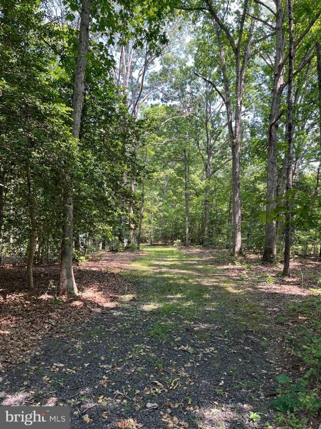 11459 Bristersburg Rd, House other with 5 bedrooms, 4 bathrooms and null parking in CATLETT VA | Image 33