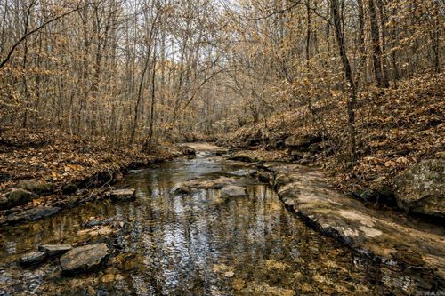 1656 Peyton Mountain Rd, Dennard, AR, 72629 | Card Image