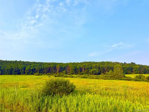 299 Walt Phillips, Guilford, NY, 13460 | Card Image