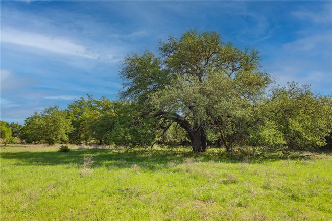 771 County Road 2130, Home with 0 bedrooms, 0 bathrooms and null parking in Meridian TX | Image 28