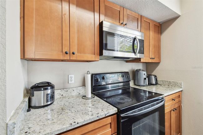 9740 - 9740 Lake Chase Island Way, Condo with 2 bedrooms, 2 bathrooms and null parking in TAMPA FL | Image 12