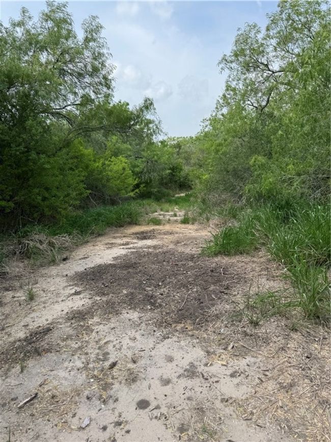 5525 Ravine Rd, Home with 0 bedrooms, 0 bathrooms and null parking in Robstown TX | Image 11