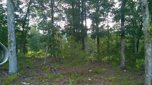 104105 Peach Orchard Hill Rd Ne, Cleveland, TN, 37323 | Card Image