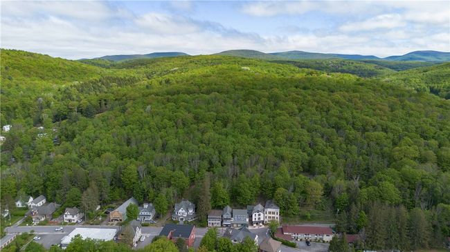 36 Pinetree Ln, House other with 4 bedrooms, 2 bathrooms and null parking in Fleischmanns NY | Image 39