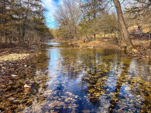 Tbd Palmer Rd, Theodosia, MO, 65761 | Card Image