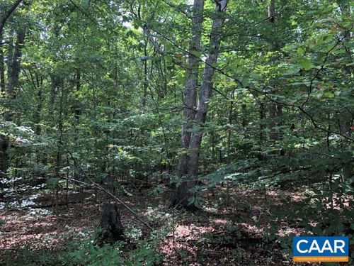 Lot 41 Foxwood Dr, BARBOURSVILLE, VA, 22923 | Card Image