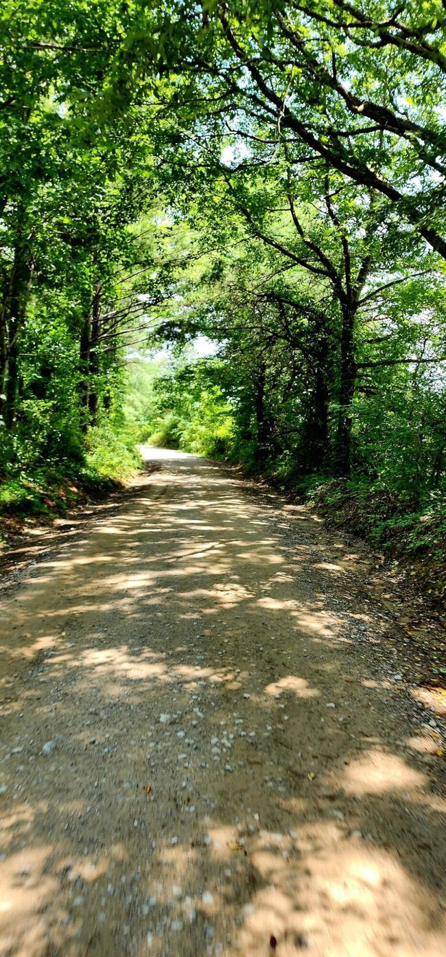 5199 Burkett Chapel Rd, Home with 4 bedrooms, 2 bathrooms and null parking in Whitwell TN | Image 38