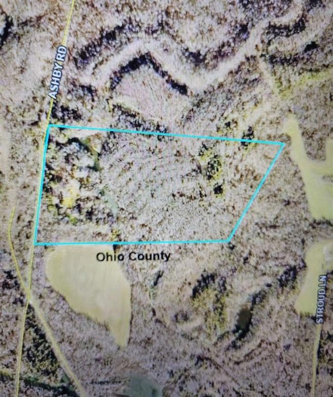 1250 Ashby Rd, Home with 0 bedrooms, 0 bathrooms and null parking in Centertown KY | Image 16