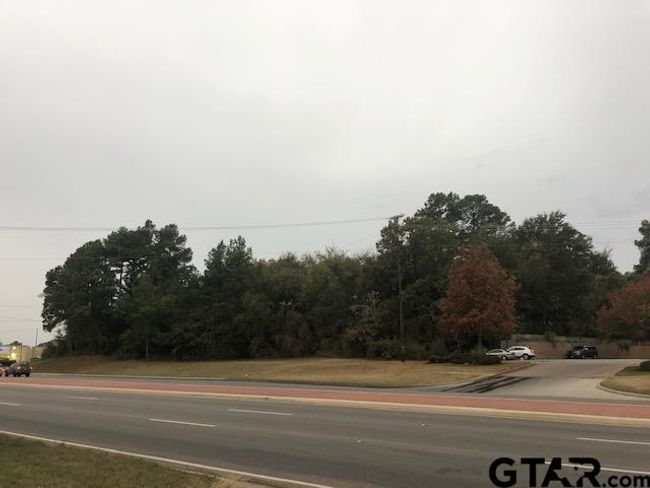 3819 Old Chandler Rd, Home with 0 bedrooms, 0 bathrooms and null parking in Tyler TX | Image 10