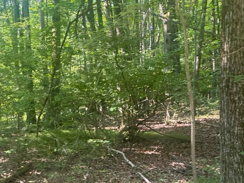 Lot # 179 Mockingbird Circle, Lincoln Township, MI, 48622 | Card Image