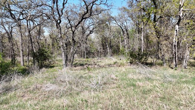 280 Private Road 2162, Home with 0 bedrooms, 0 bathrooms and null parking in Iredell TX | Image 9